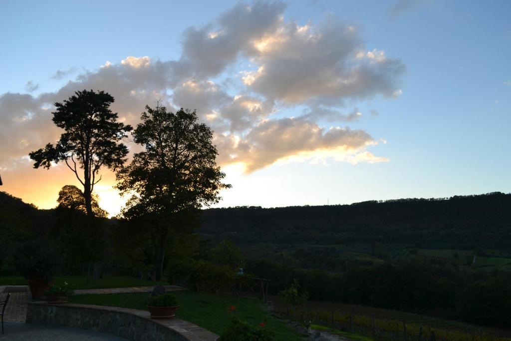 Agriturismo Lapone Orvieto Zewnętrze zdjęcie